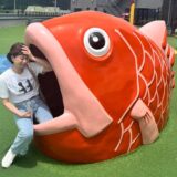 違いを受け入れられるまで。違いは役に立つ
